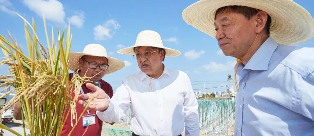 冯飞赴三亚调研种业、深海和生物制造等产业发展情况