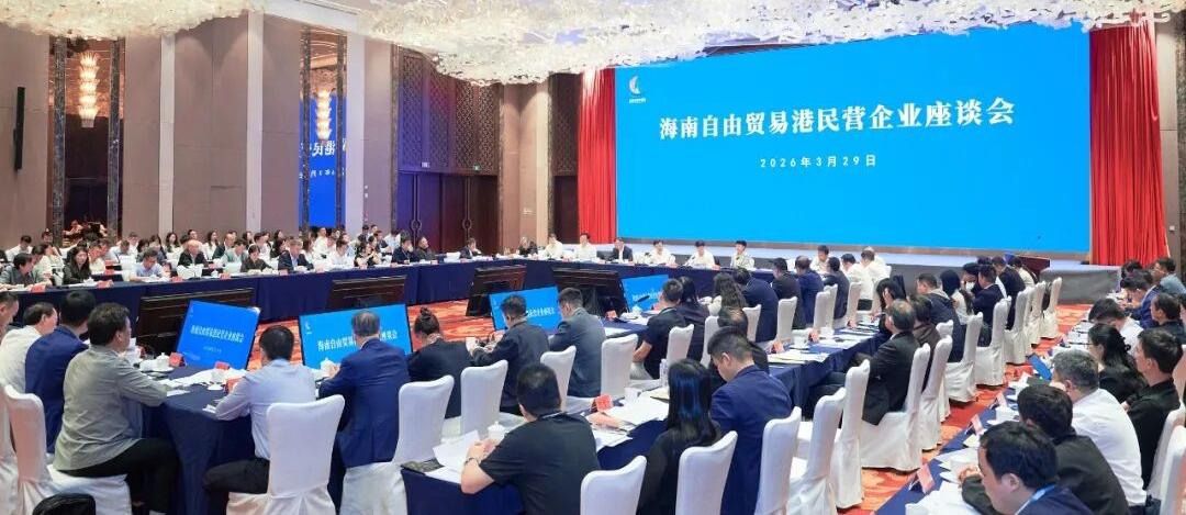 聚焦人工智能赋能高标准建设海南自由贸易港，冯飞、刘小明与民营企业代表座谈
