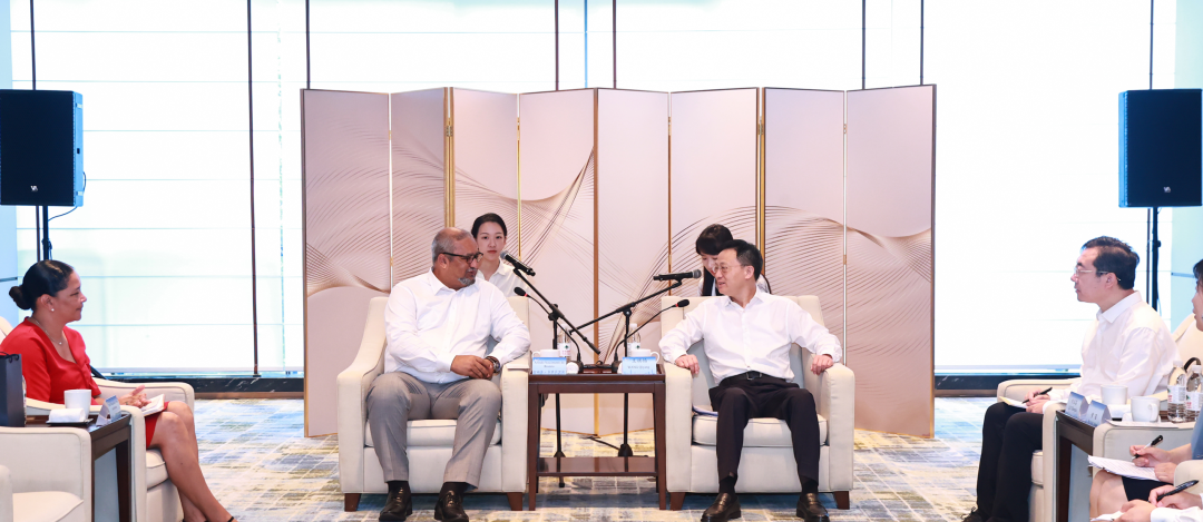 王祺扬会见佛得角驻华大使阿林多·多罗萨里奥